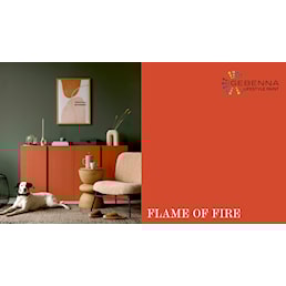 FLAME OF FIRE HUND.jpg